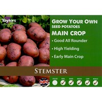 Taylors Bulbs Seed Potatoes Stemster (2kg) (VAC499)