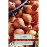 Taylors Bulbs Shallot Jermor - Pack of 8 (VP120)
