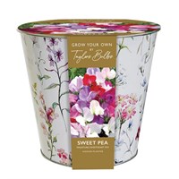 Taylors Bulbs Sweet Pea Indoor Grow Your Own Planter (SH36)