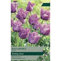 Taylors Bulbs Tulip Bleu Aimable - Pack of 6 (TP403)