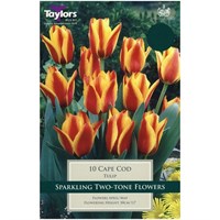 Taylors Bulbs Tulip Cape Cod - Pack of 9 (TP515)