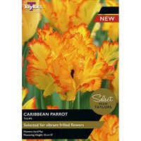 Taylors Bulbs Tulip Caribbean Parrot - Pack of 5 (SE2411)