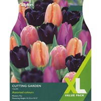 Taylors Bulbs Tulip Cutting Garden - Pack of 12 (XL117)