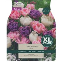 Taylors Bulbs Tulip Double Mix - Pack of 12 (XL445)