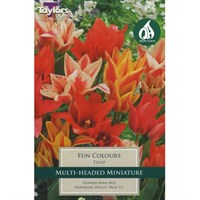 Taylors Bulbs Tulip Fun Colours - Pack of 9 (TP511)