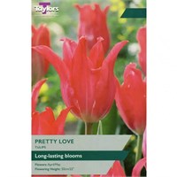 Taylors Bulbs Tulip Pretty Love - Pack of 5 (TP480)