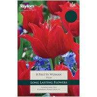 Taylors Bulbs Tulip Pretty Woman - Pack of 6 (TP475)