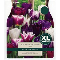 Taylors Bulbs Tulip Purple Rain Fusion - Pack of 15 - XL Value Range (XL391)