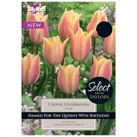 Taylors Bulbs Tulip Royal Celebration - Pack of 7 (SE2219)