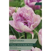 Taylors Bulbs Tulip Shirley Double - Pack of 6 (TP2159)