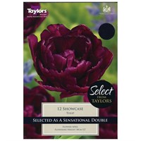 Taylors Bulbs Tulip Showcase - Pack of 7 (SE2146)