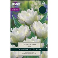 Taylors Bulbs Tulip White Valley - Pack of 6 (TP399)