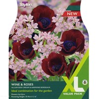 Taylors Bulbs Wine & Roses - Pack of 18 (XL408)
