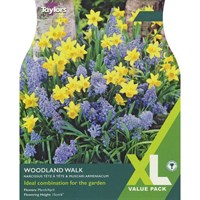 Taylors Bulbs Woodland Walk - Pack of 50 (XL175)