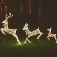 Three Kings 2.7m Gold Twist Light Up Christmas Leaping Deer Family Decoration (2506131)