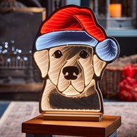 Three Kings 40cm InfiniFriend Dog Face Infinity Christmas Light (2508019)
