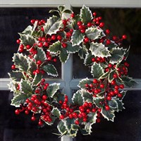 Three Kings 50cm Holly Berry Artificial Christmas Wreath (2543037)