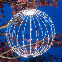 Three Kings 50cm Twinkle Orb Light Up Cool White Christmas Decoration (2506057)