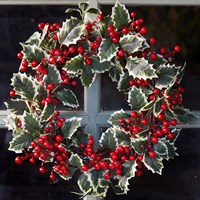 Three Kings 60cm Holly Berry Artificial Christmas Wreath (2543053)