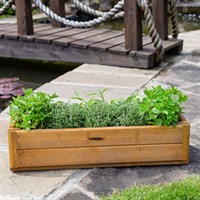 Tom Chambers Herb & Harvest Wooden Trough Planter - Small (WP069)
