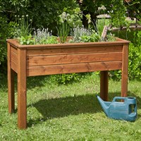 Tom Chambers Kitchen Garden 'Grow Your Own' Vegetable Planter - Large (WP084)