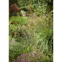 Tom Chambers Priory Rust Garden Obelisk Large (OB110)