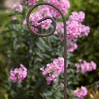 Tom Chambers Rustic Garden Plant Stake - Scroll (CG028)