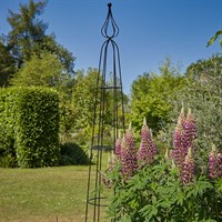 Tom Chambers Teardrop Garden Obelisk (OB166)