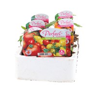 Tomato 'Six of The Best' 6 Pack Boxed Bedding