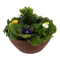 Oval Sand Thatched Bowl Bedding Planter - 17 Inches