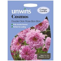 Unwins Seeds Cosmos Double Click Rose Bon Bon (30210285) Flower Seeds