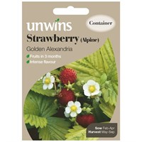 Unwins Seeds Strawberry (Alpine) Golden Alexandria (30310224) Vegetable Seeds
