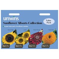 Unwins Seeds Sunflower Allsorts Collection 4 In 1 (30210591) Flower Seeds