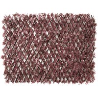 WitchHedge Red Acer Extendable Hedging 1m x 2m (REXTHD)