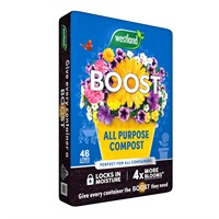 Westland Boost Container & Basket Compost 46L (11400026)