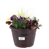 Wooden Barrel Design Seasonal Bedding Planted Container 10 Inches - Summer