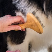Zoon Fine Tooth Rotating Rake Dog Grooming Accessory (8065008)