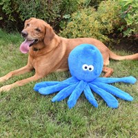 Zoon Jumbo Octo Poochie Dog Toy (8004206)