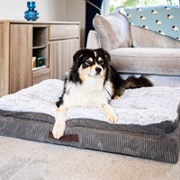 Zoon Komfort Kord Memory Foam Mattress Dog Bed