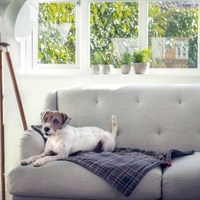 Zoon Plaid Pet Comforter Blanket 70 x 100cm (8002043)