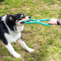 Zoon Tugger Rubber Dog Toy (8004114)