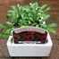 Wallflower Aida Carmine 6 Pack Boxed Bedding