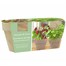 Bee Friends Summer Cocktail Strawberry & Mint Grow Set Duo (151182)