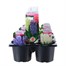 Carry Home Pack - Hyacinth Bulb Selection - 6 x 10.5cm Pot Bedding Bulbs