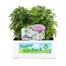 Chrysanthemum Poppins Prelude White Super 6 Pack Boxed Bedding