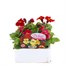 Mimulus Mixed 6 Pack Boxed Bedding