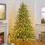 National Tree 2m (6.5ft) Greensburg Fir Pre Lit Artificial Christmas Tree (PEGR-307DB-65)