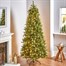 National Tree 2m (6.5ft) Prelit Slim Newberry Spruce (PEND2-304LB-65)