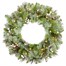 National Tree 60cm (2ft) Glittery Crestwood Artificial Christmas Pre Lit Wreath (CWG2-300-24W-B)