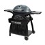 Pit Boss Sportsman 3 Burner Portable Gas Grill (10755)